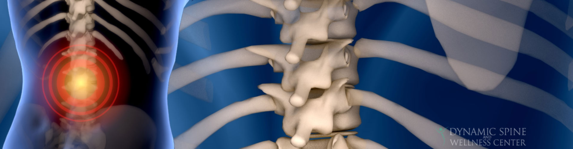Tallahassee Chiropractor Back Pain Treatment