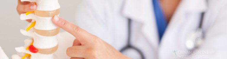 Tallahassee Chiropractor Explains Disc Herniation