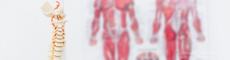 Chiropractic is primarily used as a pain relief alternative for muscles, joints, bones, and connective tissue, such as cartilage, ligaments, and tendons. It is sometimes used in conjunction with conventional medical treatment.