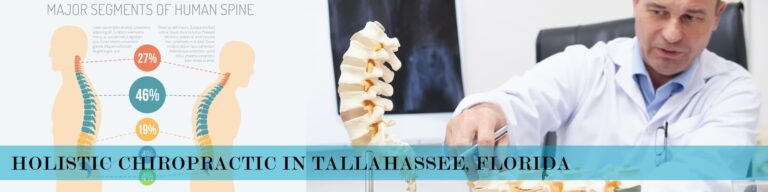 What does a chiropractor do?