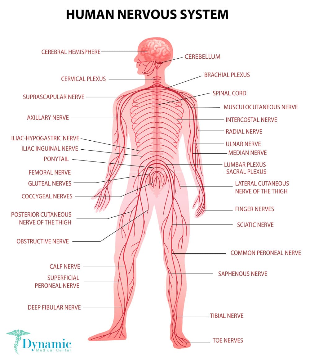 signs-and-symptoms-of-nerve-damage