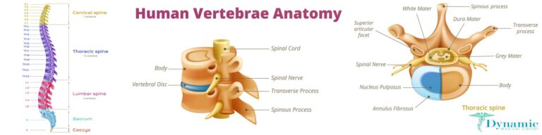 10 Benefits of Getting Spinal Decompression From a Chiropractor