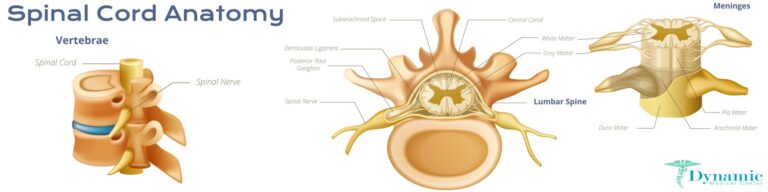 The Benefits and Key Considerations for Spinal Decompression Therapy